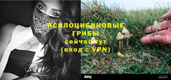 2c-b Балабаново
