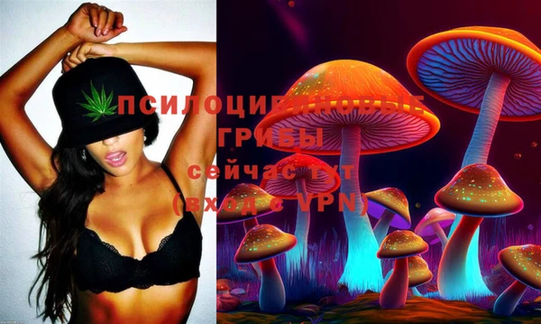 скорость Балахна