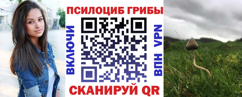 Галлюциногенные грибы GOLDEN TEACHER Северо-Курильск